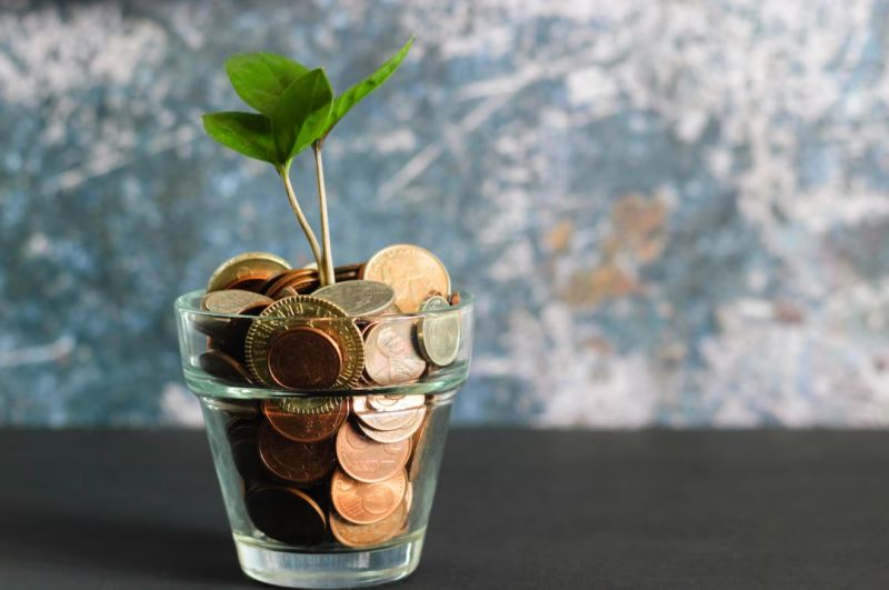 Een glas gevuld met munten waaruit een groene plant groeit, symboliserend financiële groei en duurzaamheid, passend bij de thema's van Energy Check.