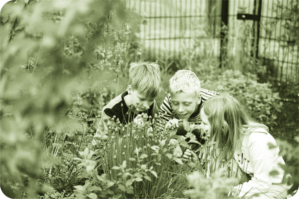 Drie kinderen onderzoeken nieuwsgierig planten in een groene tuin, in een duotone-effect van Energy Check.